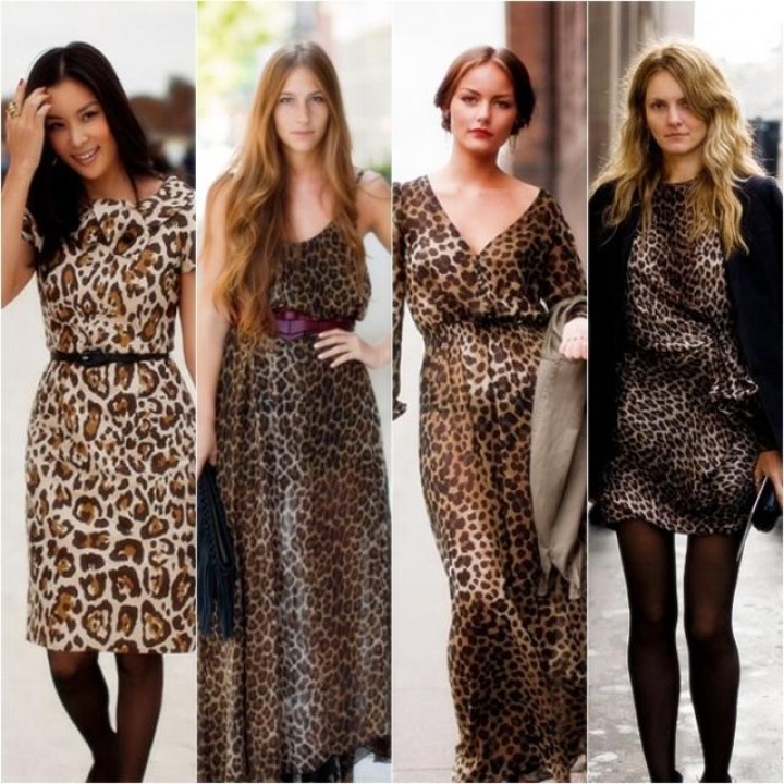 Леопардовое Платье С Чем Носить Фото